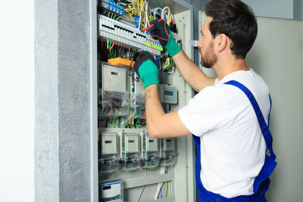 Best Electric Panel Repair  in North Chicago, IL